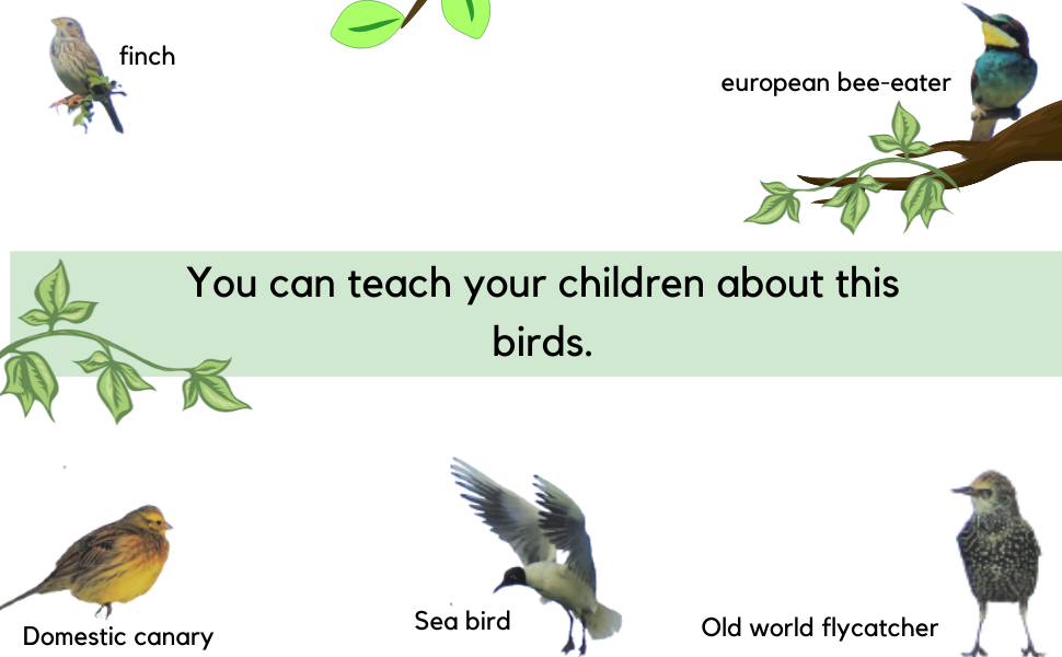 LPS Realistic Colourful Bird Birds Robin seagull window Static Cling Stickers non adhesive