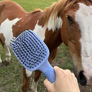 FOR HORSE TAIL BRUSH