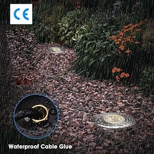 IP65 Waterproof