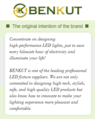 Benkut Modern LED Chandelier