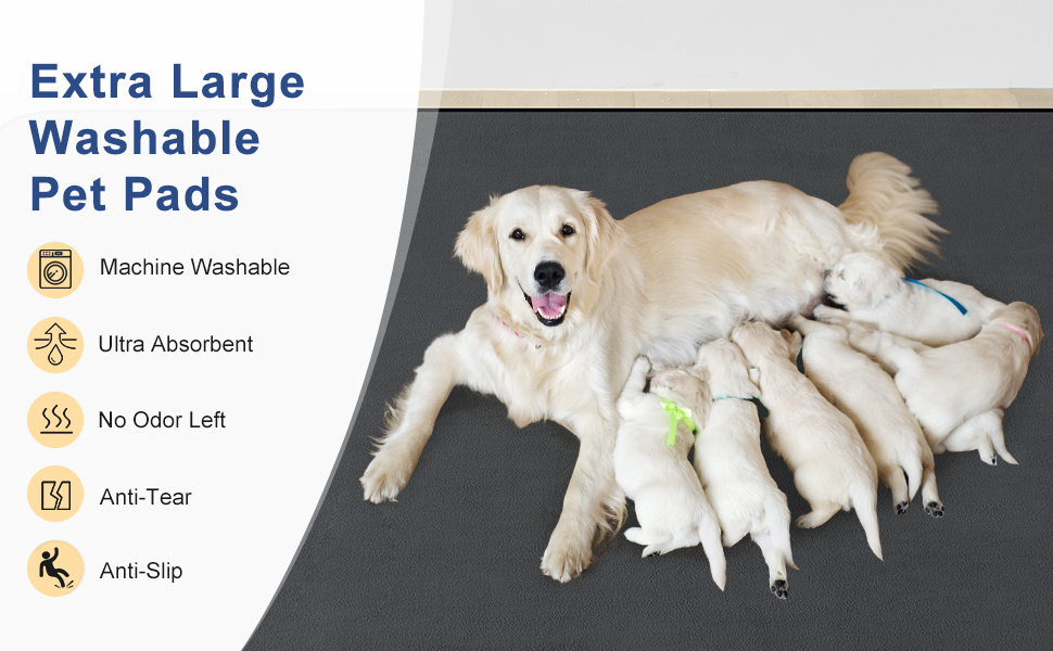 Washable Pee Pads for Dogs 72X72, Reusable Puppy Pads Pet