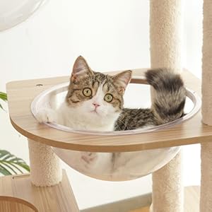 Amazon.co.jp: Yilucess 猫タワー 木製 キャットタワー 据え置き