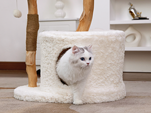 ◆Cat◆ Purr-n-Fur UK | Cat Fonts and Dingbats