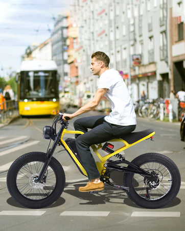 MZB1 EBIKE