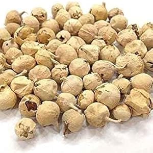 Withania coagulans