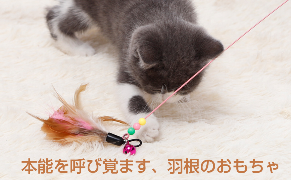 Amazon | Fullkominn 猫じゃらし 羽 おもちゃ 猫 おもちゃ