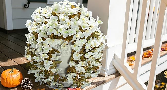 Fall Flowers for Outdoor Planters