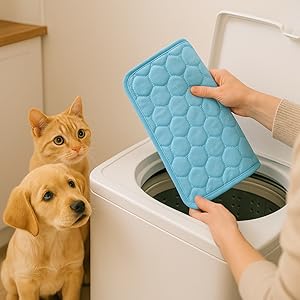 Pets watching mat