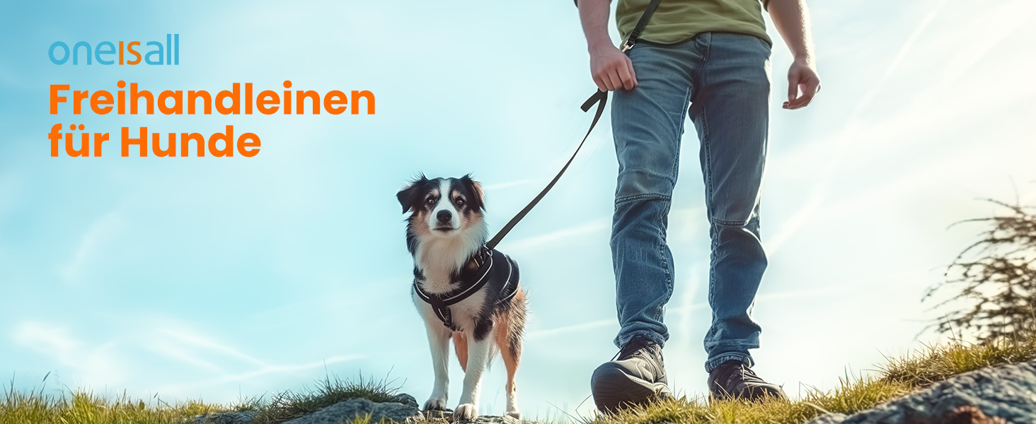 Eine Person, die mit einem Hund auf einem grasbewachsenen Hügel mit einer freihändigen Leine spazieren geht. Die Texteinmischung lautet „oneisall Freihandleinen für Hunde“