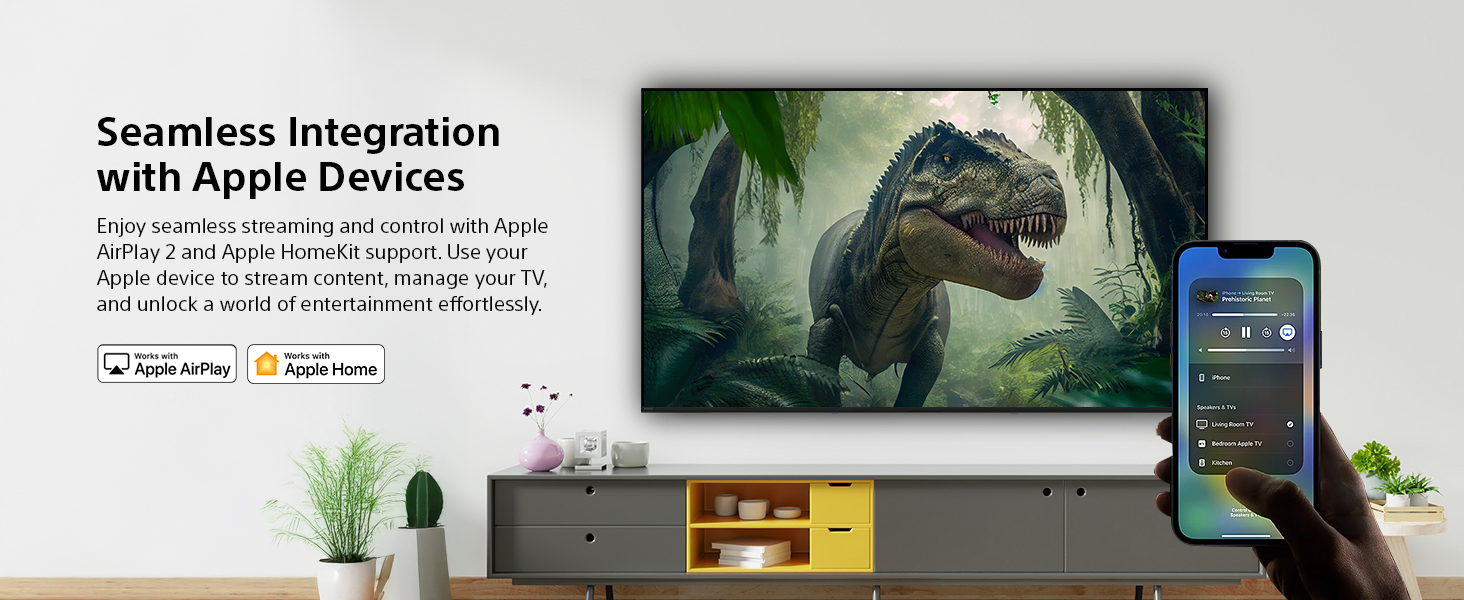 Apple Airplay2/Apple HomeKit​