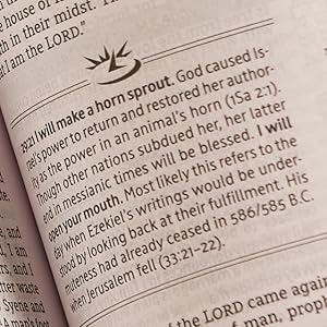 easy to carry NASB, new king james version portable nkjv transportable nkjv holy bible new king 