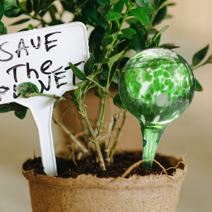 Plant Watering Bulbs Automatic Watering Globes
