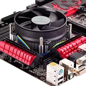 Amazon.com: SilverStone Technology Nitrogen Series Low