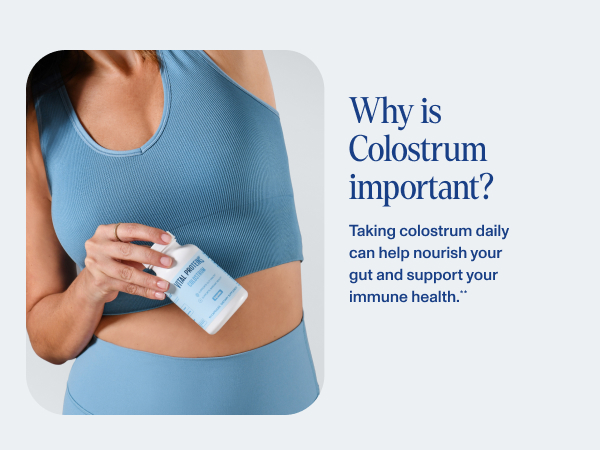 colostrum