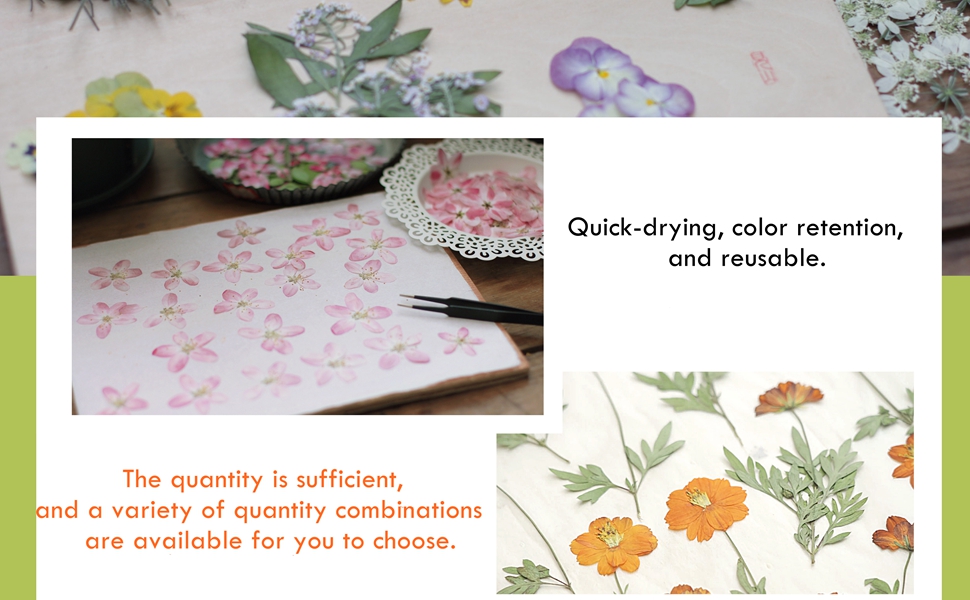 LIXINDEE Flower Press Refill Paper Replacement Blotters Paper A3 A4 A5