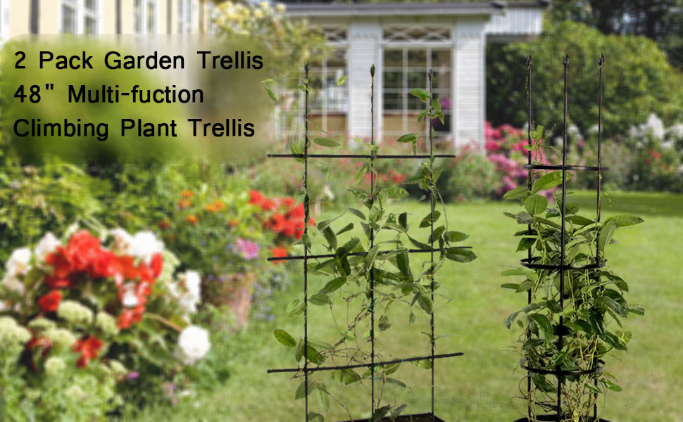 garden trellis