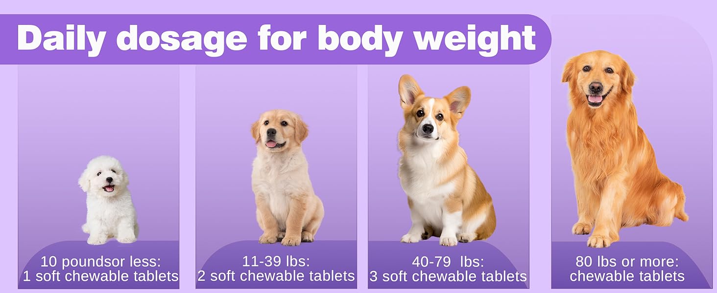 Dog Probiotic Chews