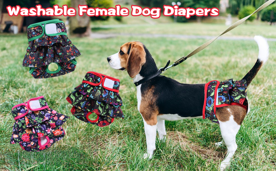 M JJYPET Washable Dog Diapers Female (3 Pack)，Reusable Highly Absorbent Dog Diapers