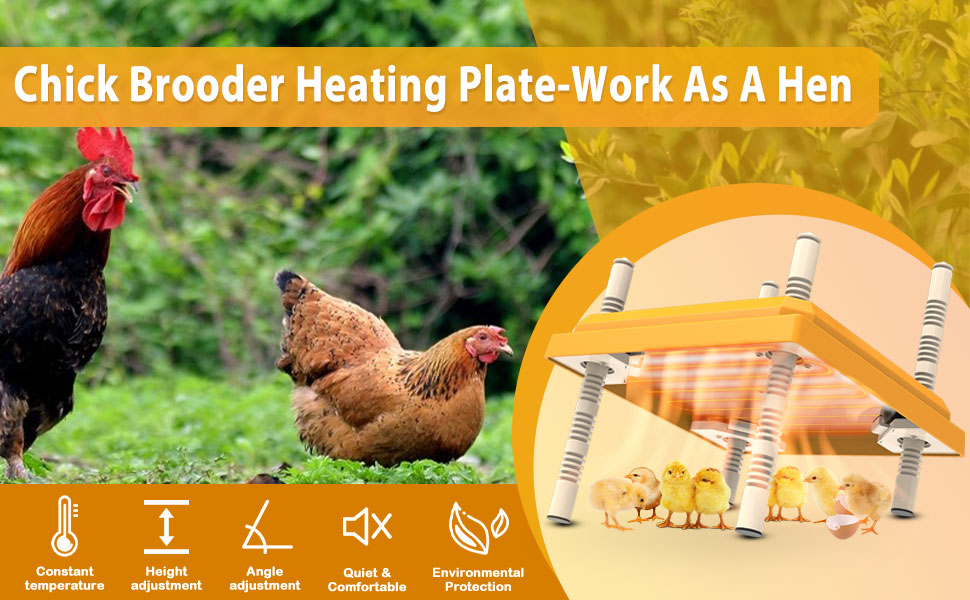 Erinaik Brooder Heater for Chicks 12"x12" for 25 Chicks