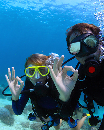  Diving Phone Case, Waterproof Phone Case,