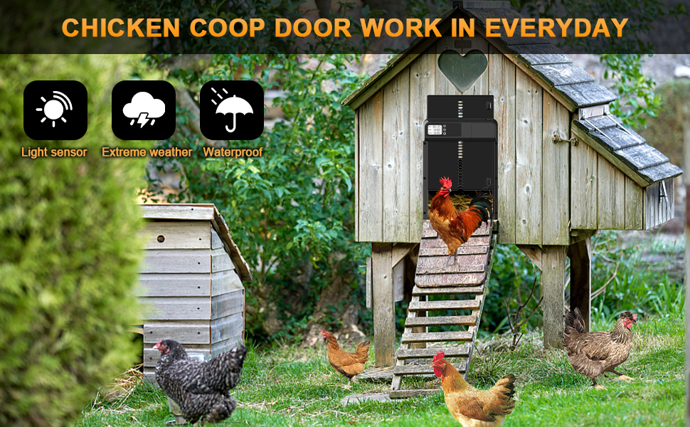 Automatic Chicken Coop Door Auto Chicken Door Opener with