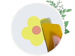 Wall Decal Installation Process