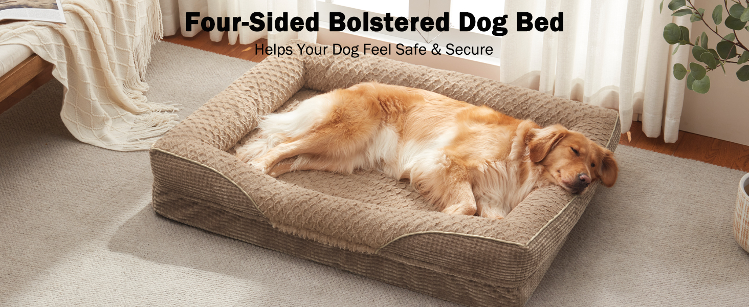 dog beds xlarge sized dog