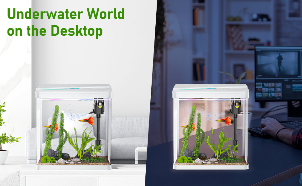 PONDON Betta Fish Tank, 3 Gallon Glass Aquarium, 3 in 1