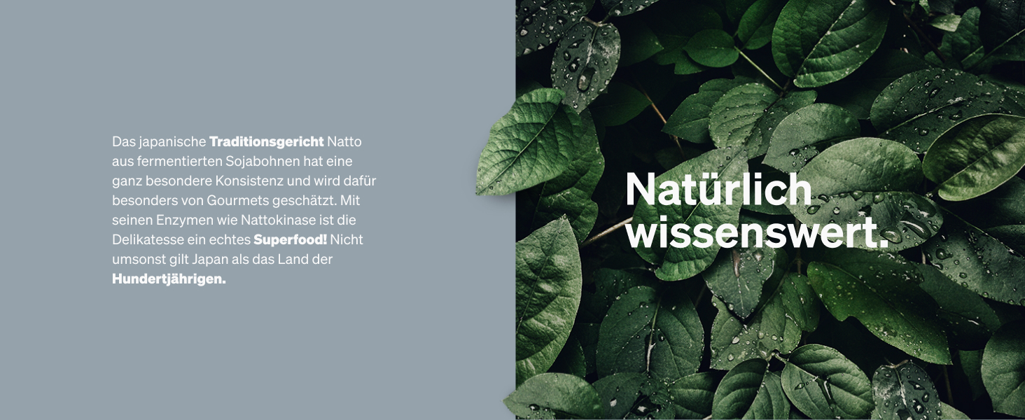 nattokinase natto kapseln enzyme natokinase hochdosiert natokinase2000fu natokinnase kaufen wirkung