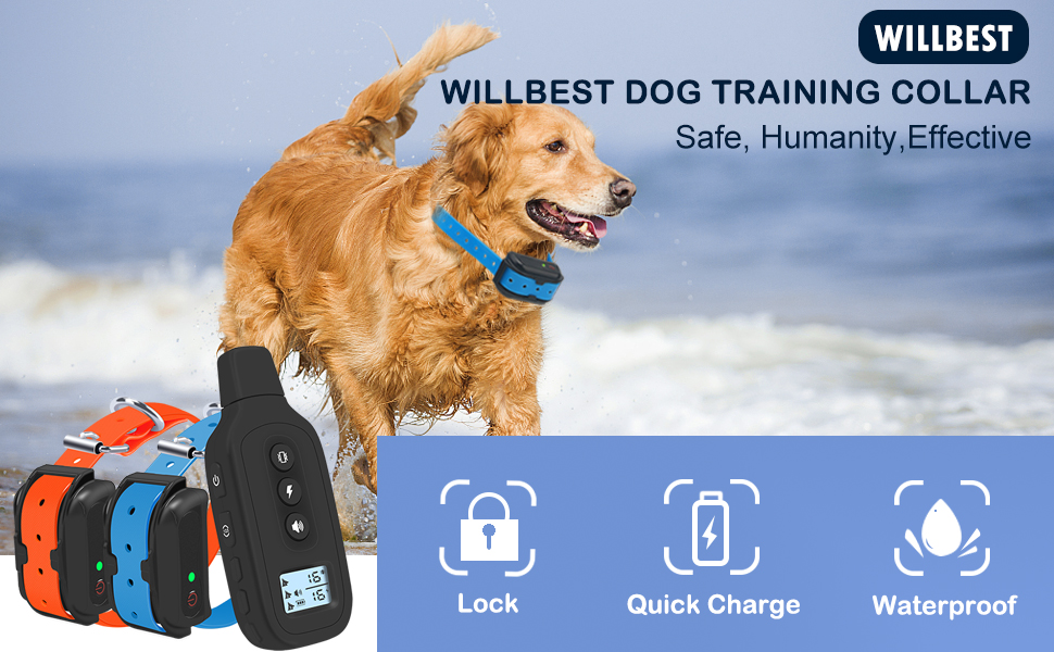 2023 Upgraded Dog Training Collar for 2 Dogs Waterproof and