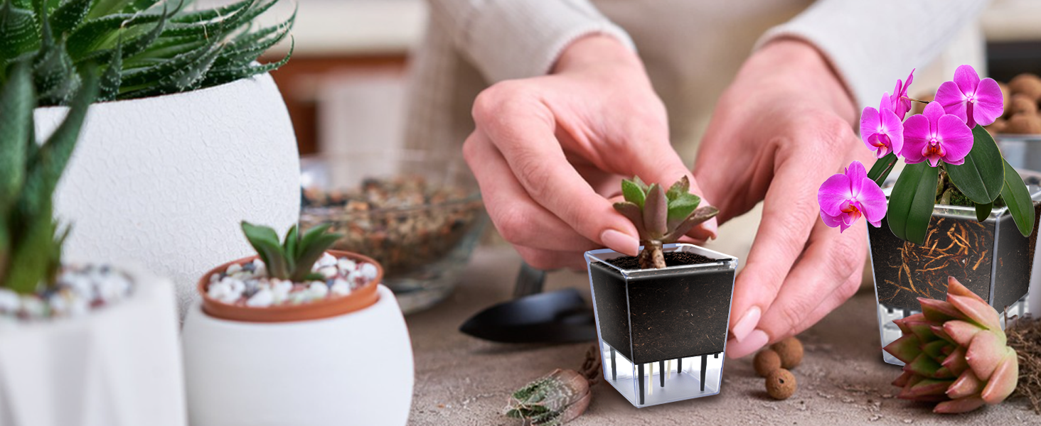 Self Watering Plant Pot