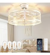 DLLT Caged Ceiling Fan with Lights: 20