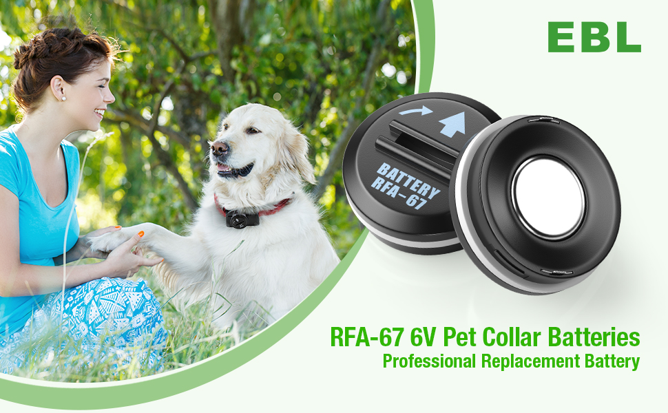 EBL RFA67 6 Volt Pet Collar Replacement Batteries 10 Pack