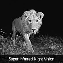 night vision