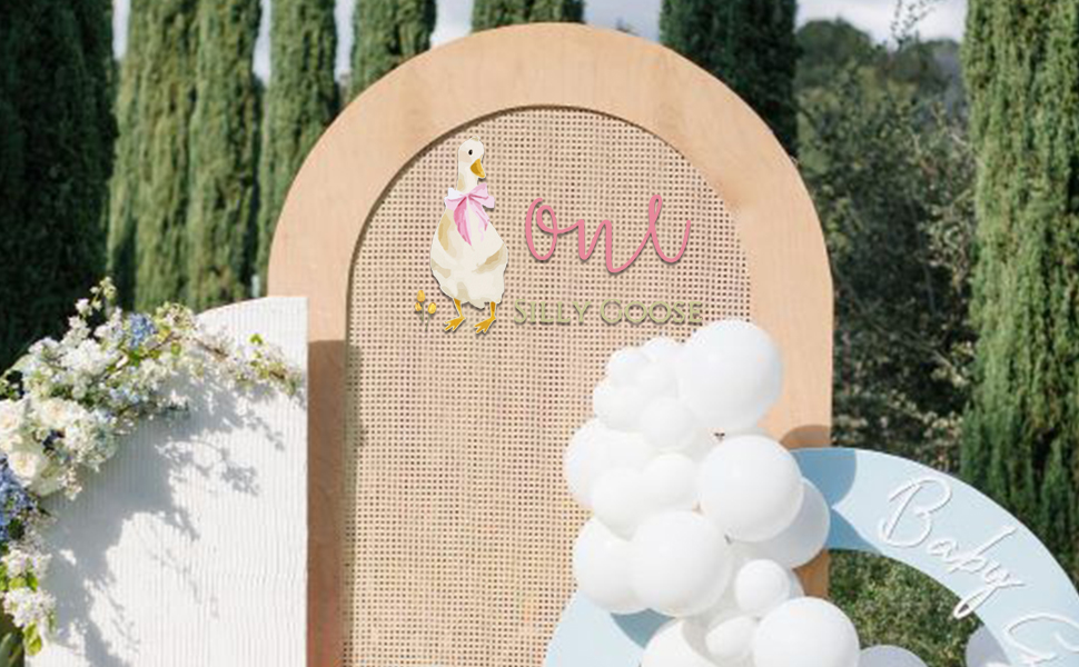 One Silly Goose Decal