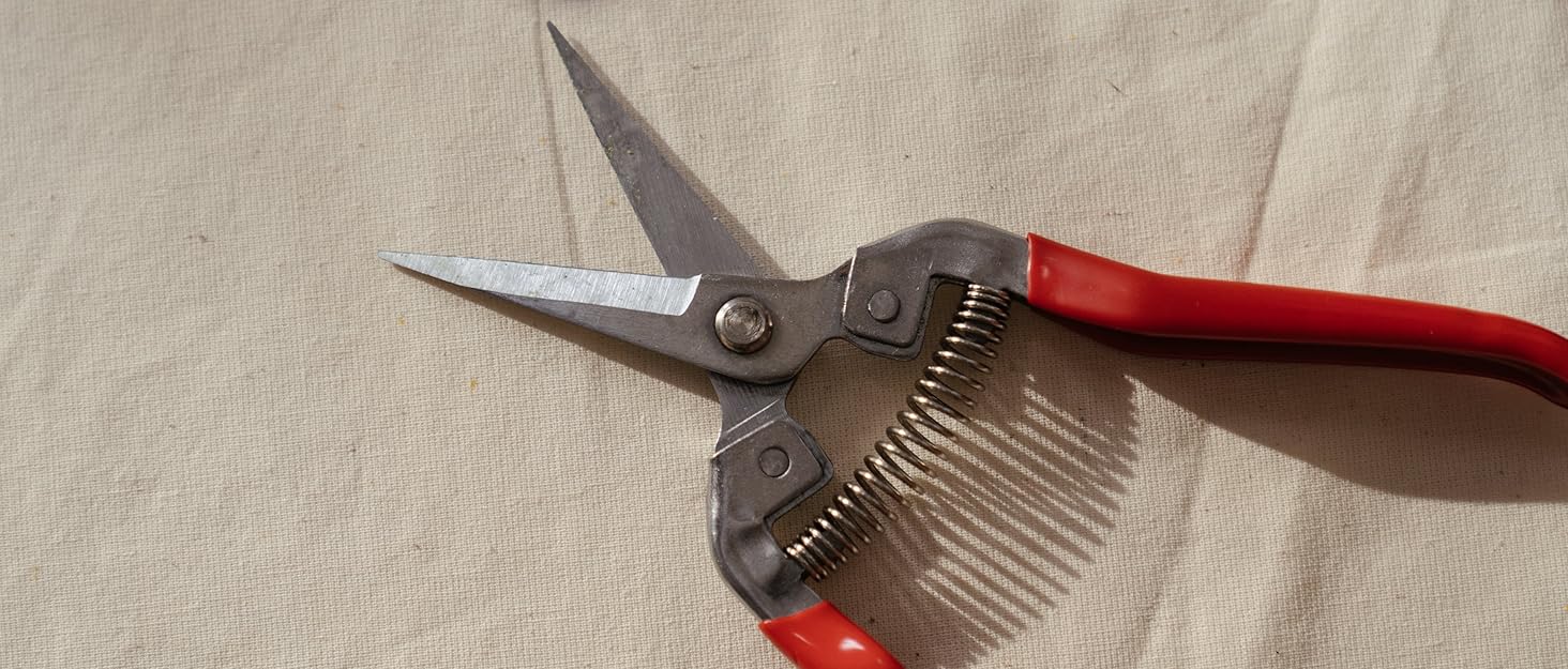 Pruning Shear with Red Handle on Canvas Background