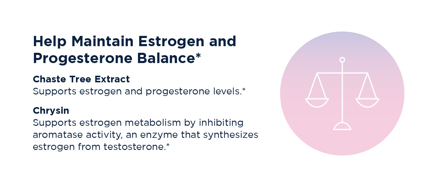 b12 folate b6 vitamin bone health supplements women chaste tree supplement