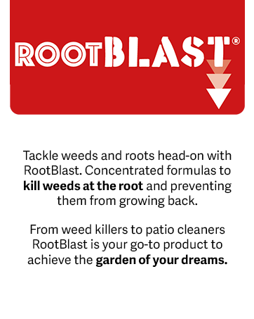 Root Blast Brand Story