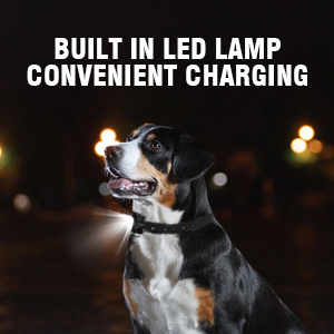 Dog training collar