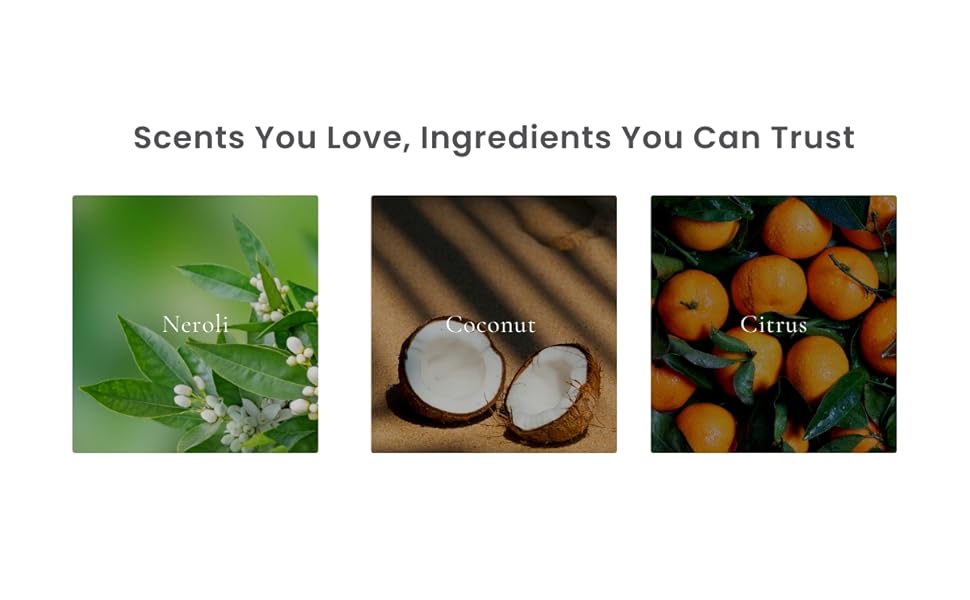 Scents You Love, Ingredients You Can Trust
