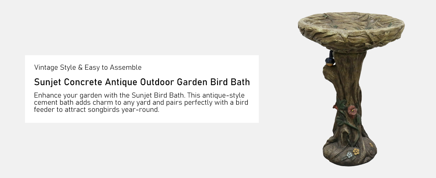 Bird Bath