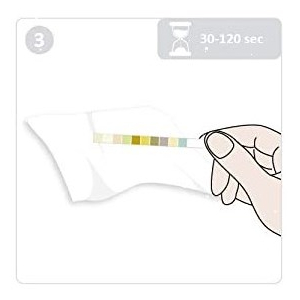 Urin Teststreifen Schnelltest mit Farbskala