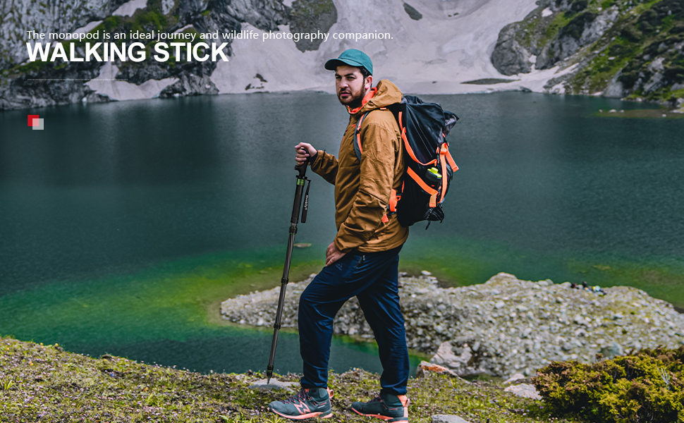 Camera Stand Monopod Manbily Walking Stick Monopods for Cameras Carbon Fiber Portable Compact
