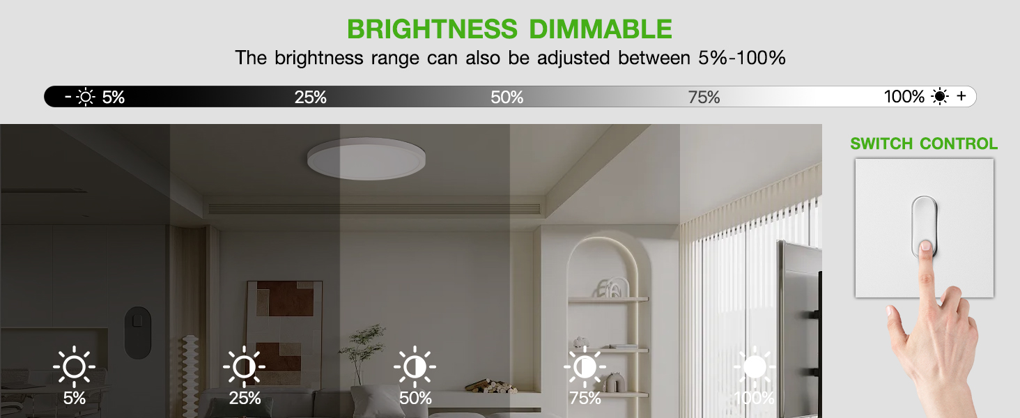 ceiling light fixture