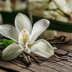 Vanilla perfume choco musk sweet perfume for women men eau de parfum aftershave