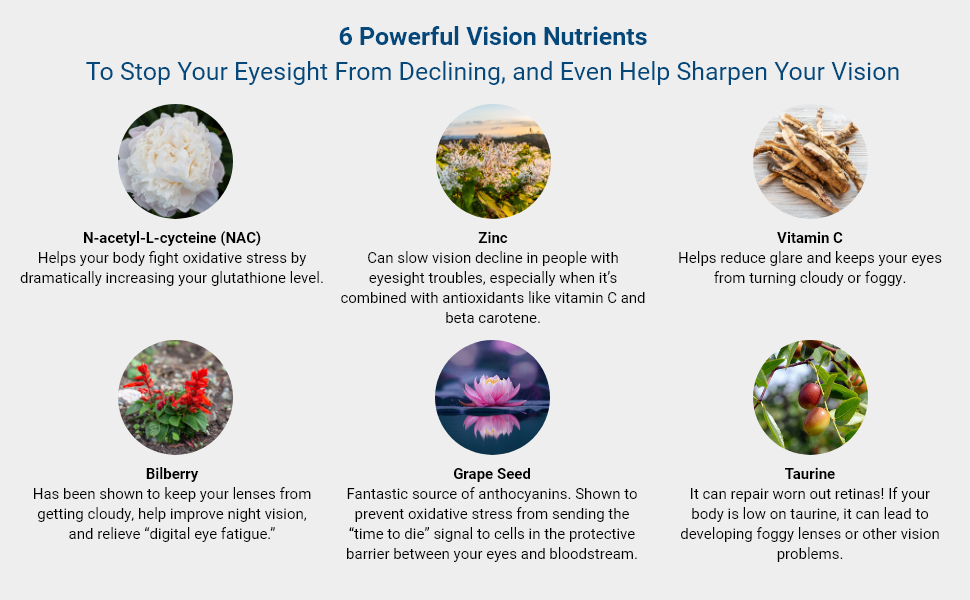 advanced vision formula