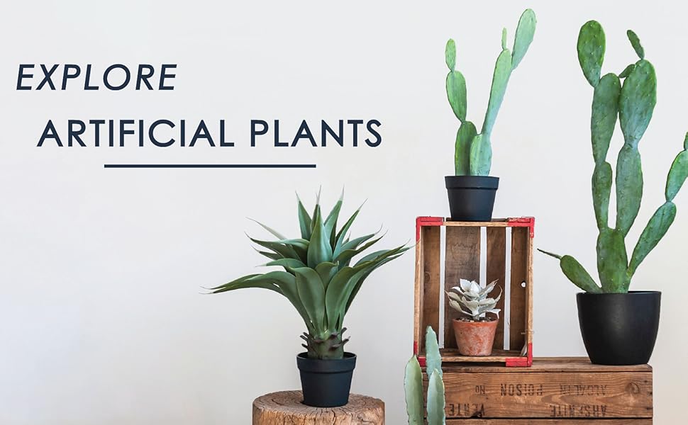 Creative CoOp DF2615 29" H Thyme Topiary in Pot Faux Botanicals, Green Amazon.ca Home