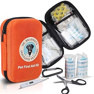 Everything You Need To Protect Your Pet