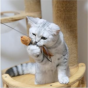 猫ジャラシフェザー