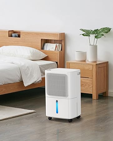 dehumidifier for basement
